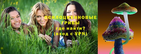 бошки Алексеевка