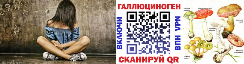 Псилоцибиновые грибы Psilocybine cubensis  Старая Русса 